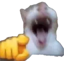 laughcat