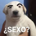 sexo