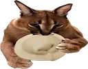 floppaeatspelmeni