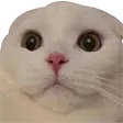 huh