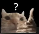 Ayowtf