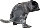 wejfo