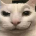 SmirkCatto