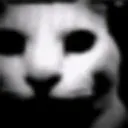 1201619837680627732