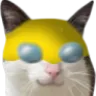 invincinald