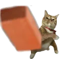 catchthis