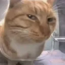 sus