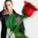 rosetoss