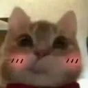 catblush