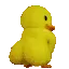 duckass2x