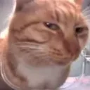 side_eye