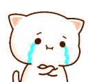 CryingCat
