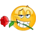 rose2 rose2