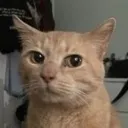 sideeye