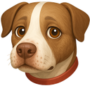 KIRA3 Discord emoji