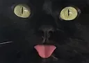 p_ p_