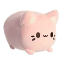 pinkcat