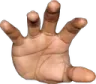 GrabHandR