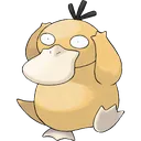 psyduck