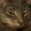 gus5