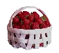 sbasket