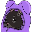 Hoolicozy