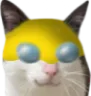 invincinald