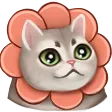 jeidolCute