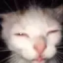 Tired