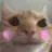 cat_shy