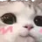 Cat_blush