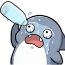 sharkwasheyes