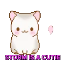 storm