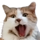MissyRoar Discord emoji