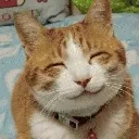 emoji_38
