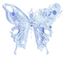 :1blue_buttefly: