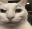 smugcat