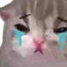 Miao_cry