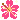 z_flower