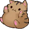 BrownFluffyCat