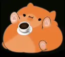 CoffeeCat