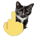 FYOUcat4x