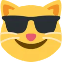cat_sunglasses