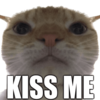 Discord Emote 7100kissme: