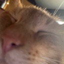 Discord Emote 19554eepycar: