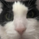 Discord Emote 20180angycarstare: