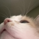 Discord Emote 89315whatisaboveme: