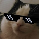 Discord Emote 94009coolcat: