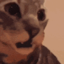 Discord Emote 94283guhgif: