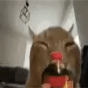 Discord Emote 22879cokeshakeybuhflip: